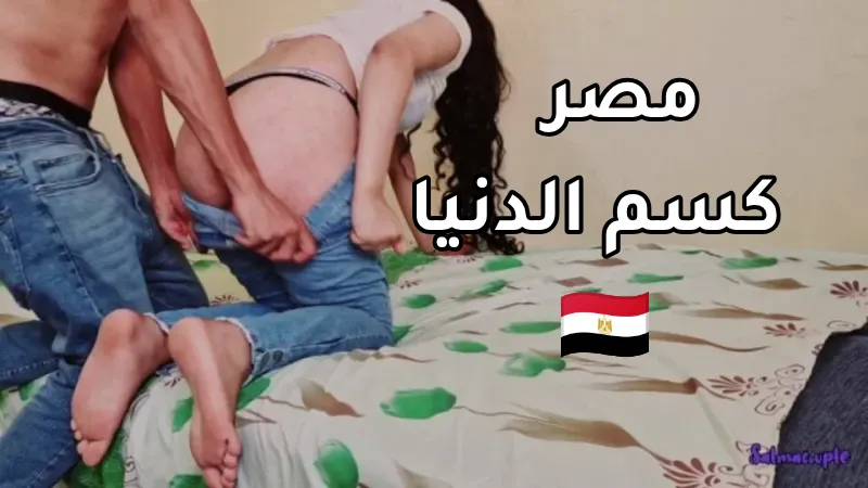 سكس مصري - مصر كسم الدنيا